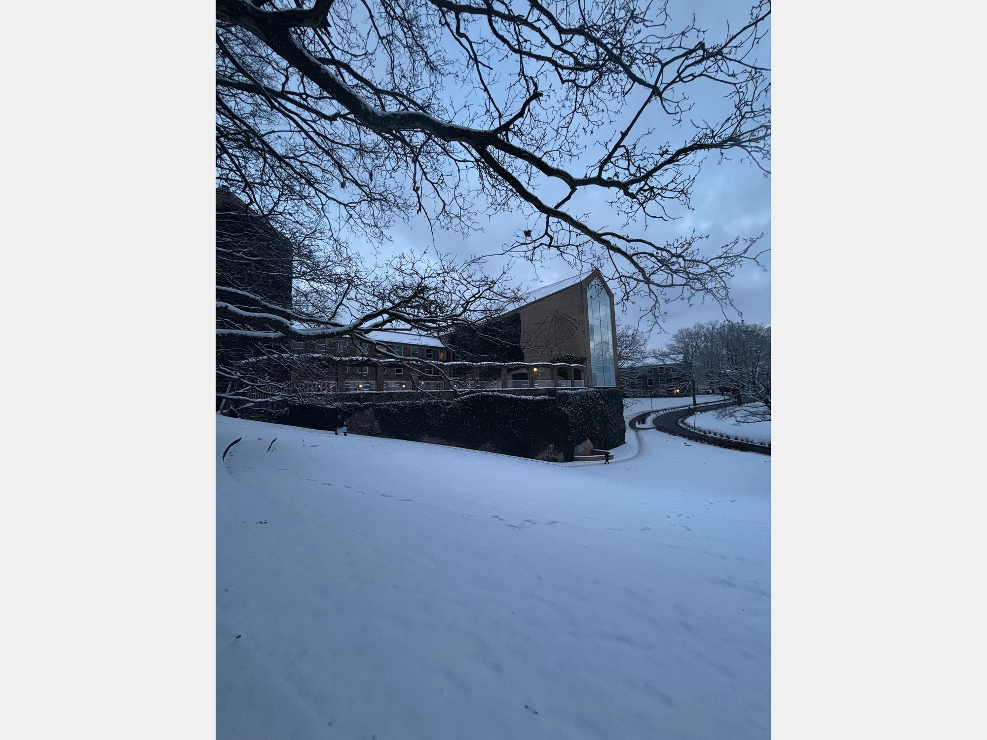 Image from Aarhus University