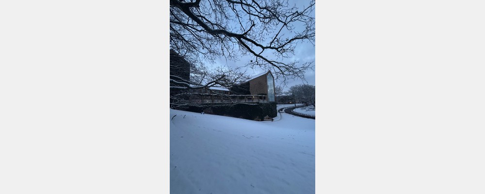 Image from Aarhus University