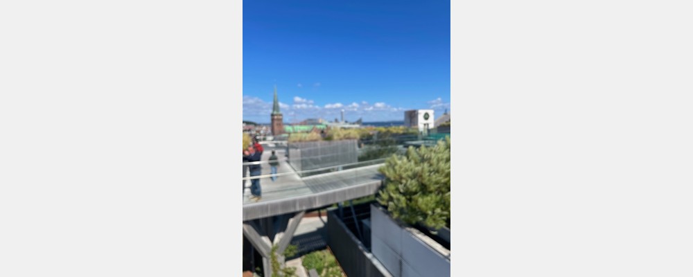 Image from Aarhus University