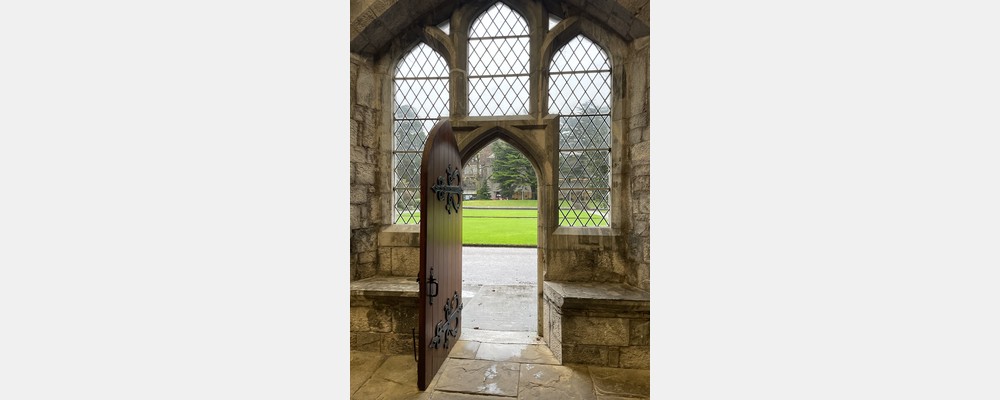 Image from University College Cork