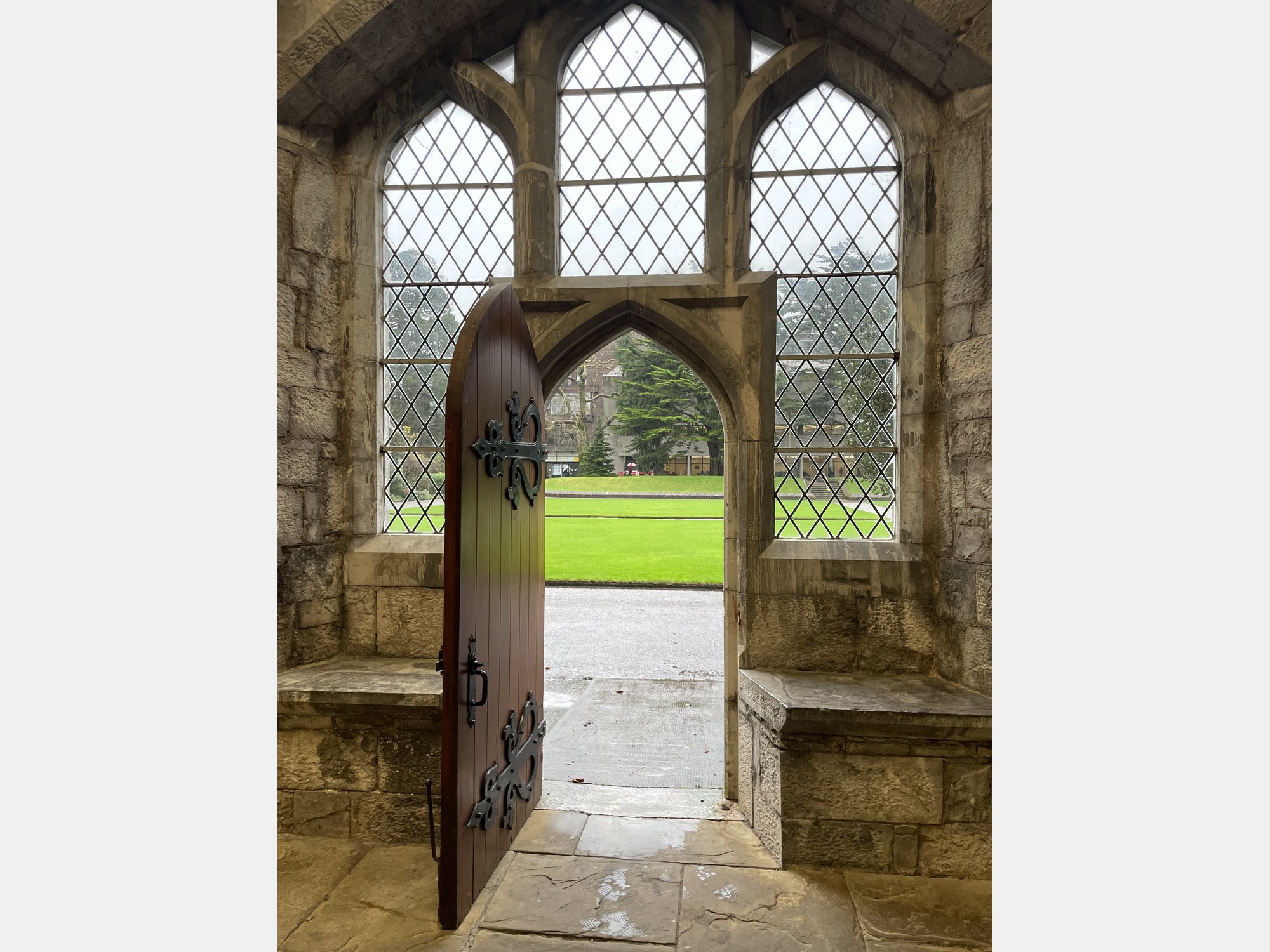 Image from University College Cork
