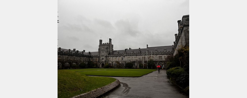 Image from University College Cork