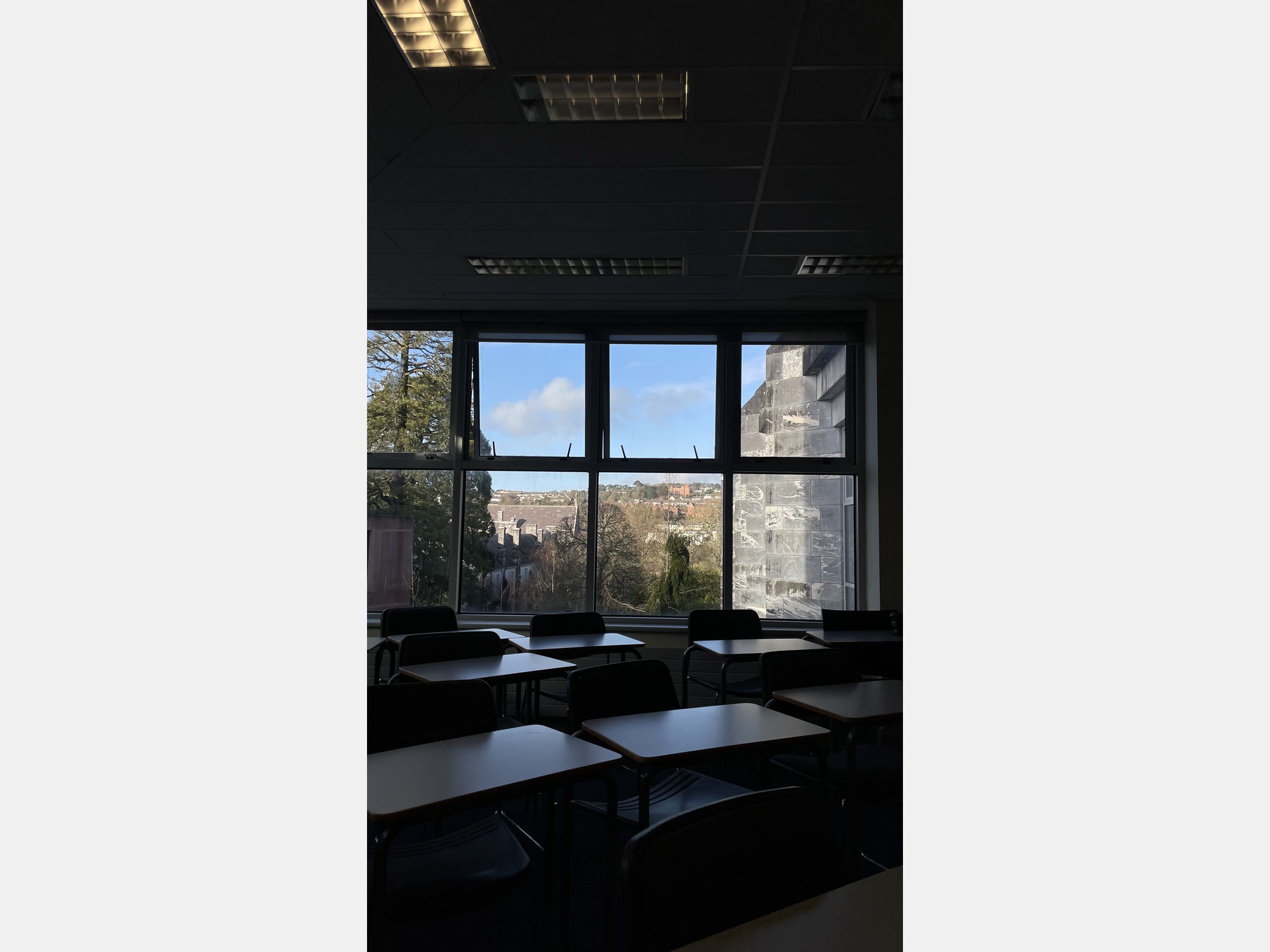 Image from University College Cork