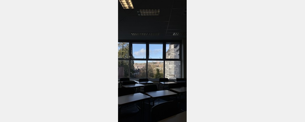 Image from University College Cork