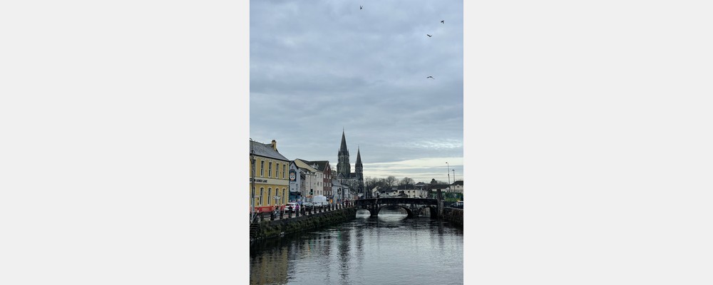 Image from University College Cork