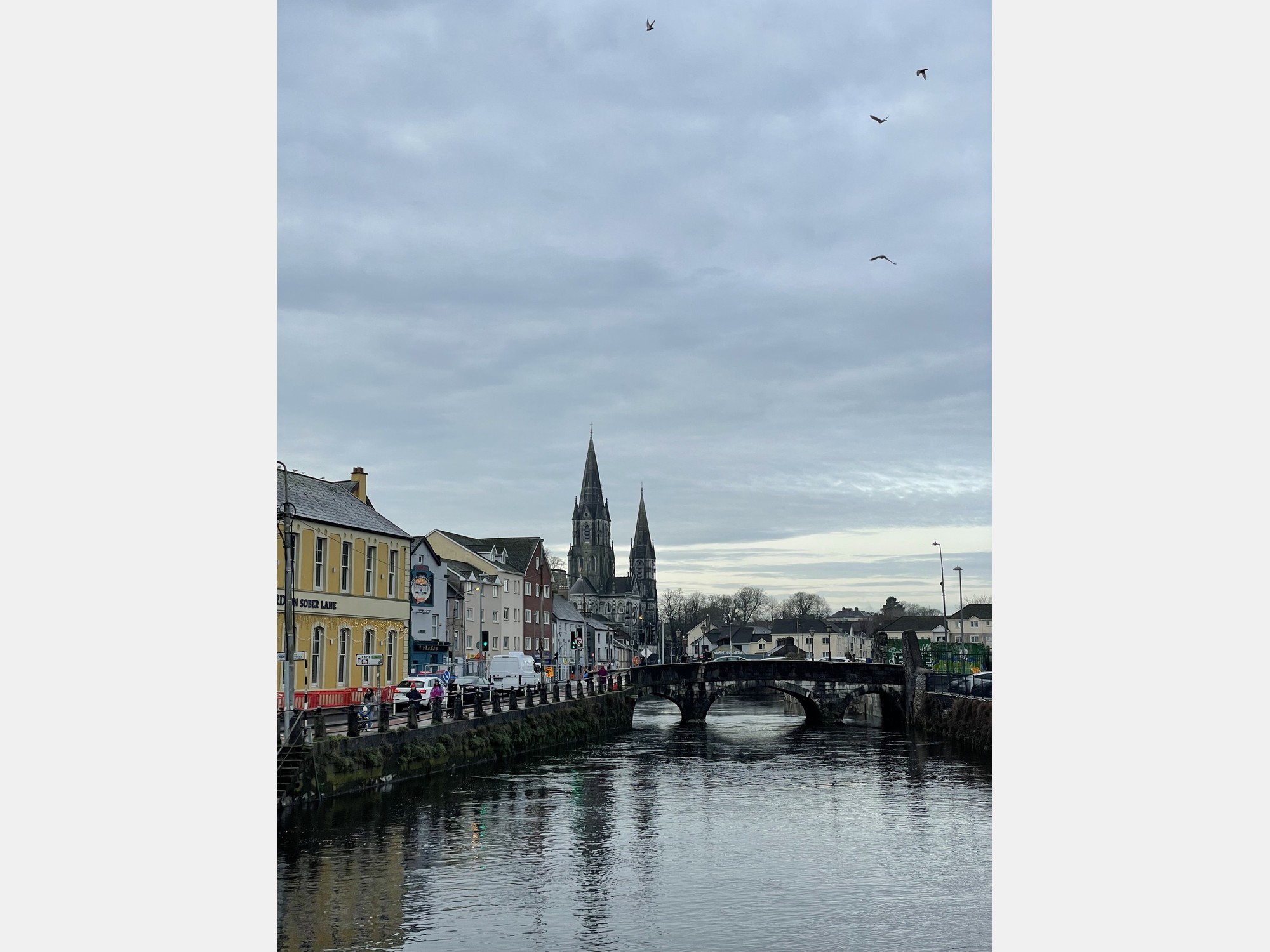 Image from University College Cork