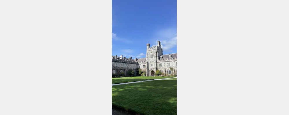 Image from University College Cork