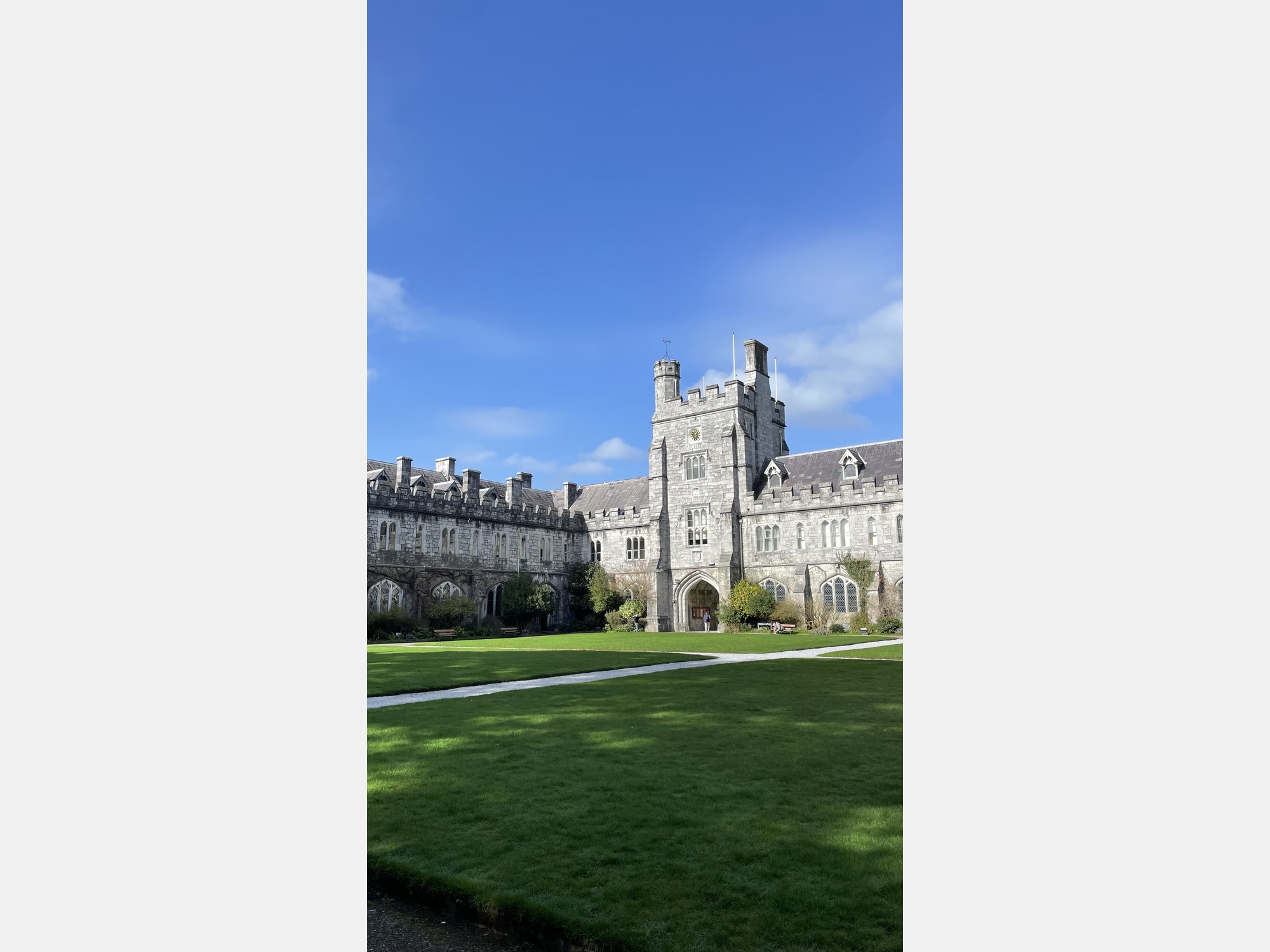 Image from University College Cork