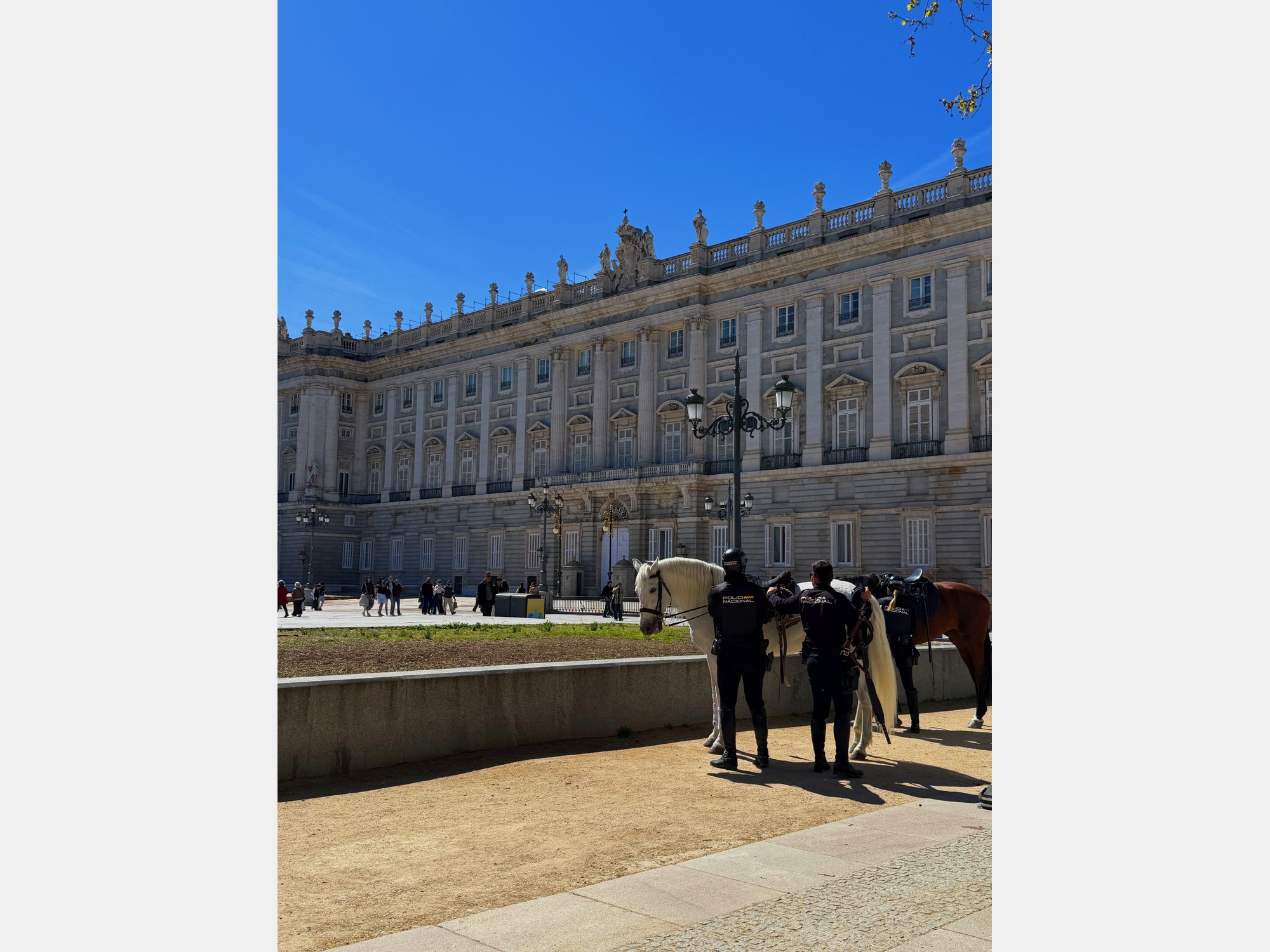 Image from Universidad Autónoma de Madrid