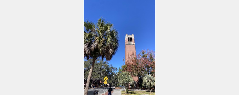 Image from University of Florida