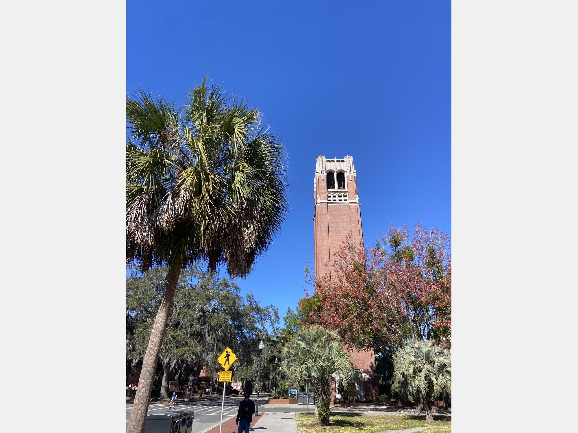 Image from University of Florida