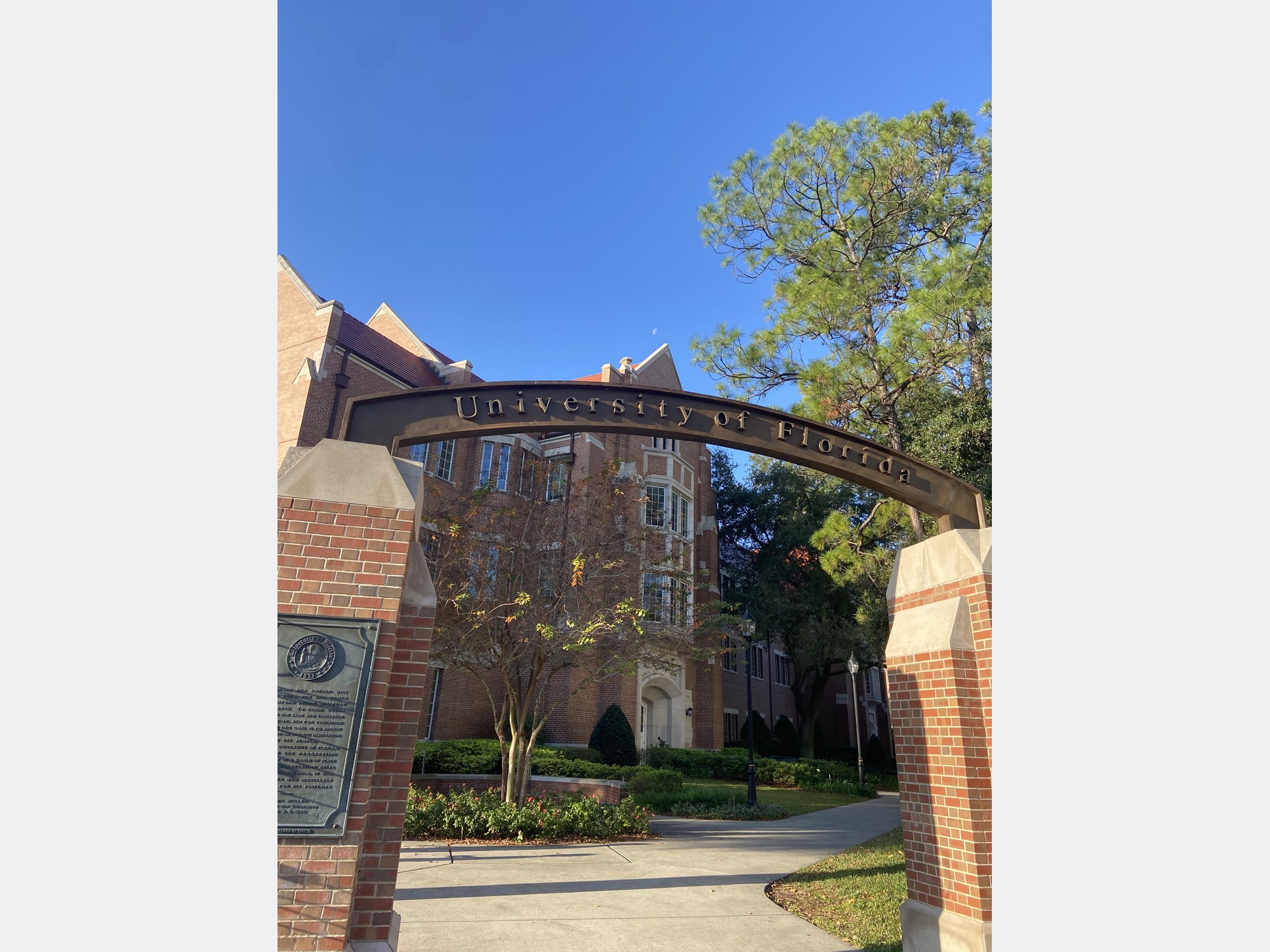 Image from University of Florida