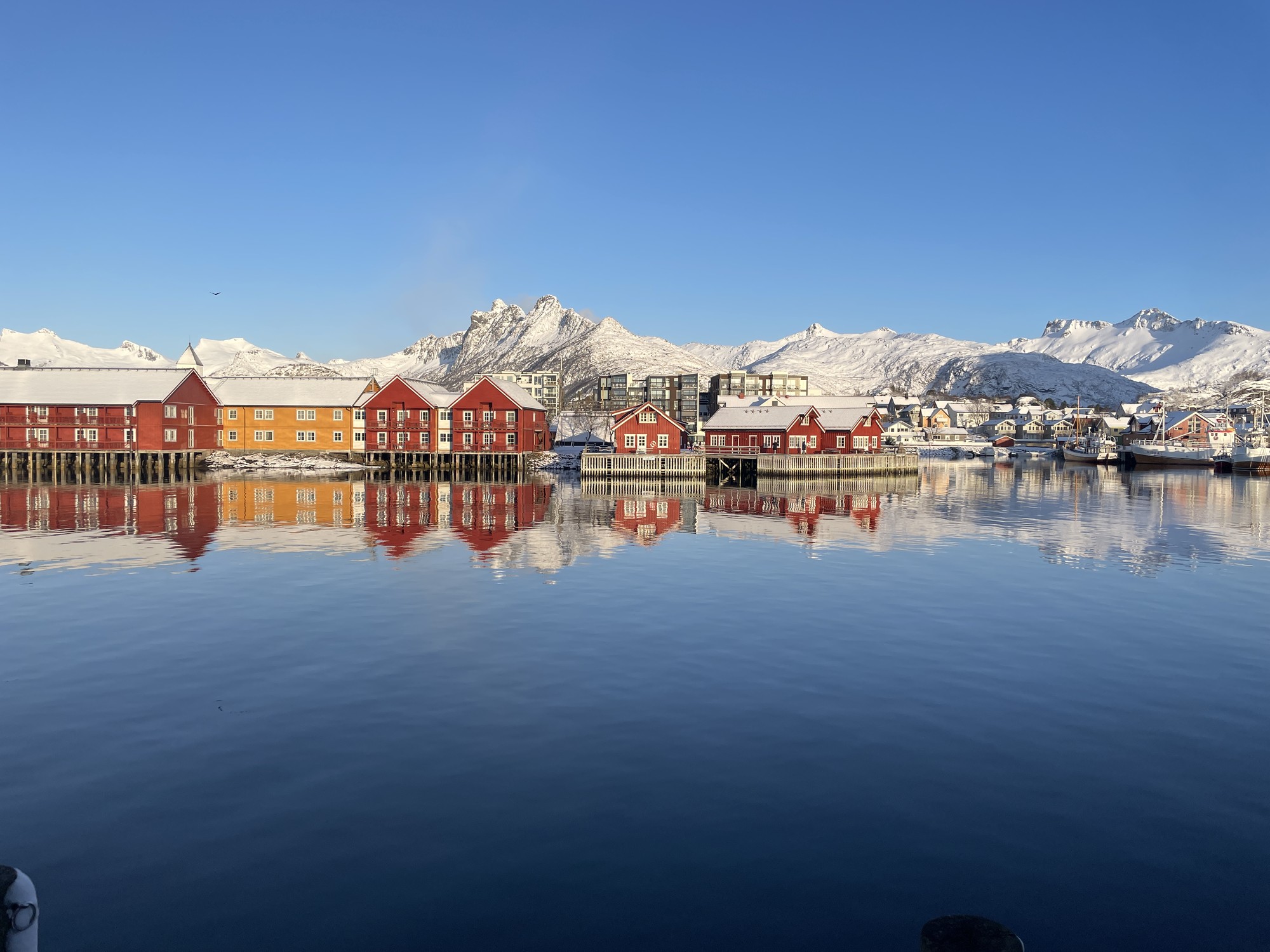 Image from BI Norwegian Business School