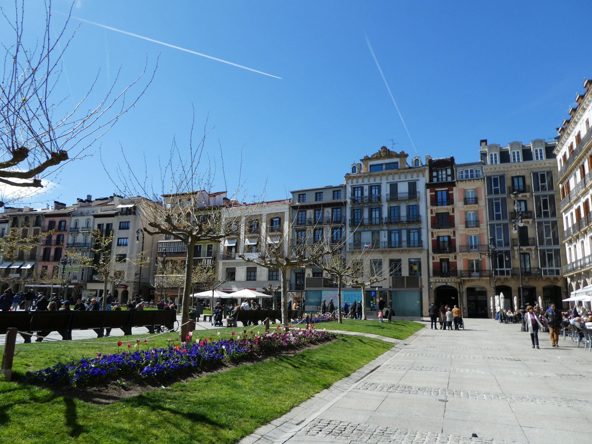 Image from Universidad de Navarra