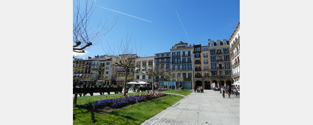 Image from Universidad de Navarra