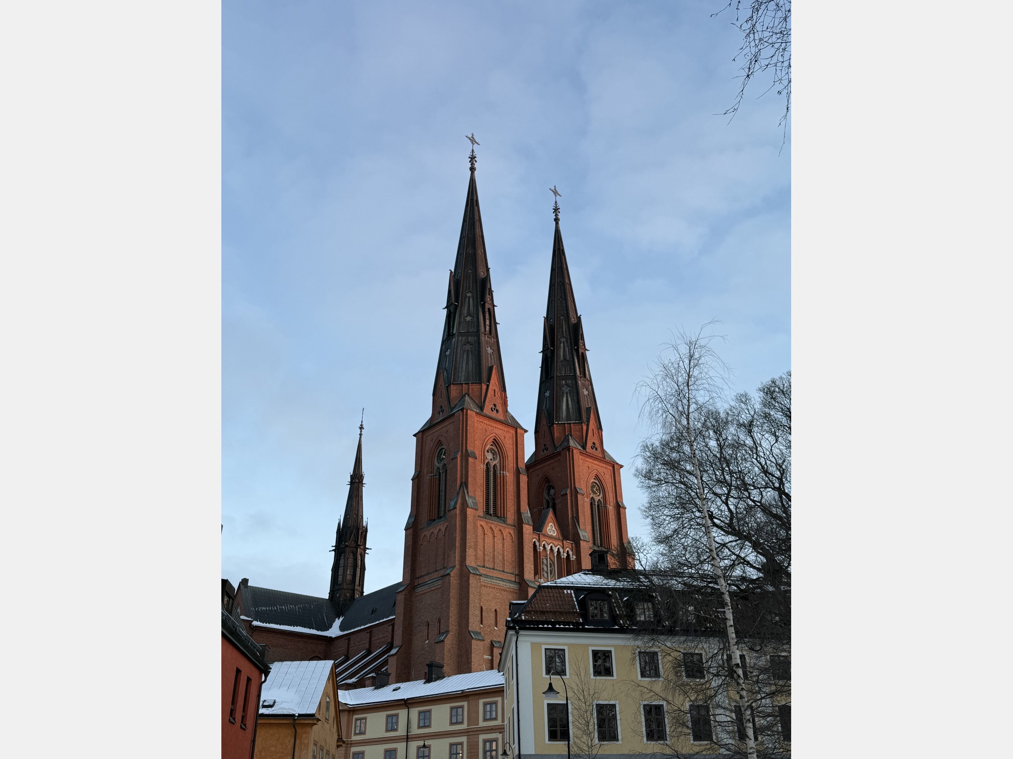 Image from Uppsala University