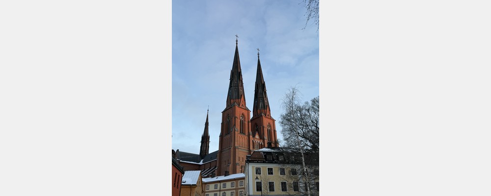 Image from Uppsala University