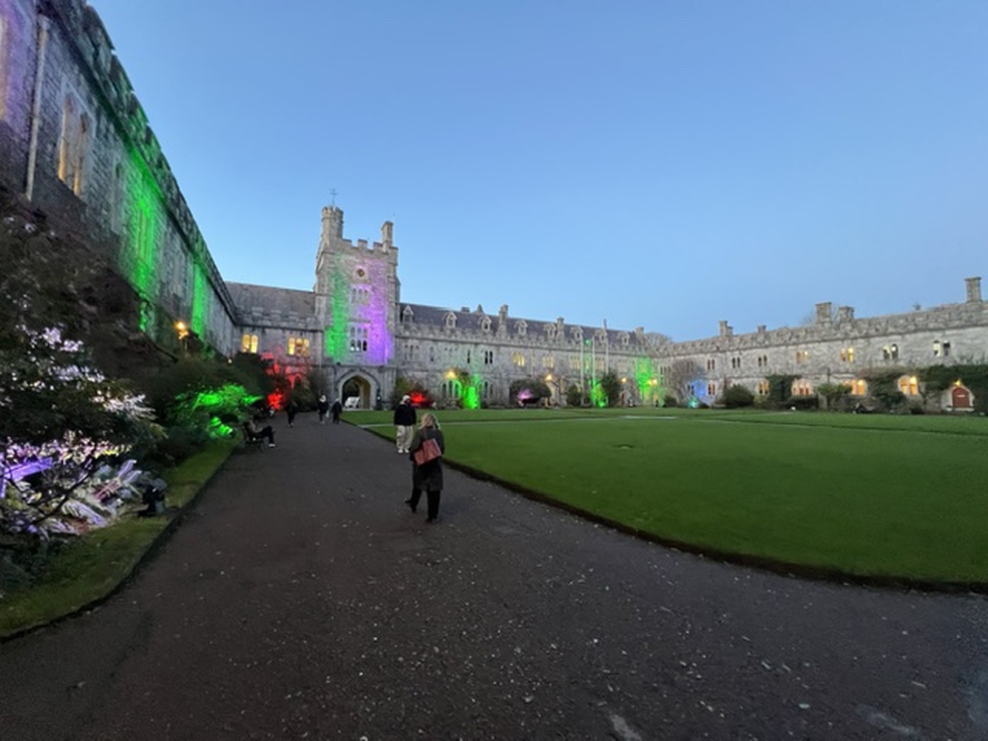 Image from University College Cork