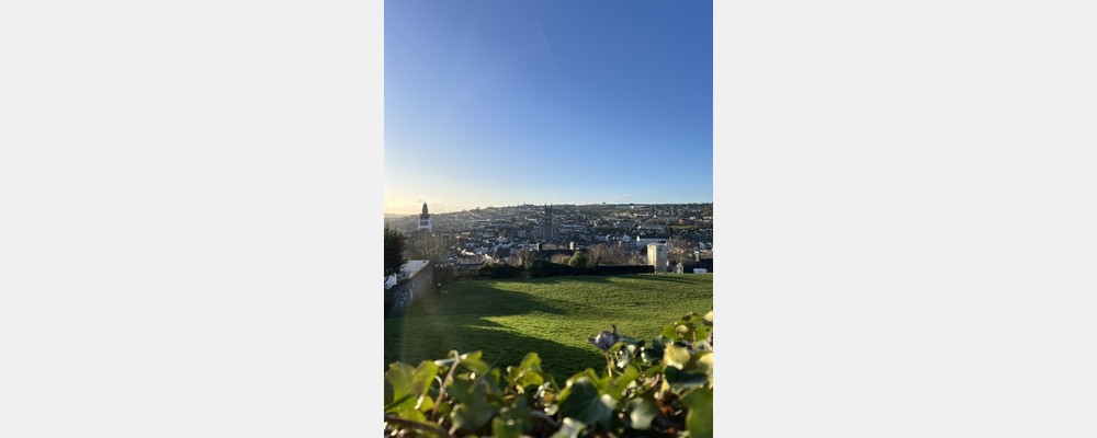 Image from University College Cork