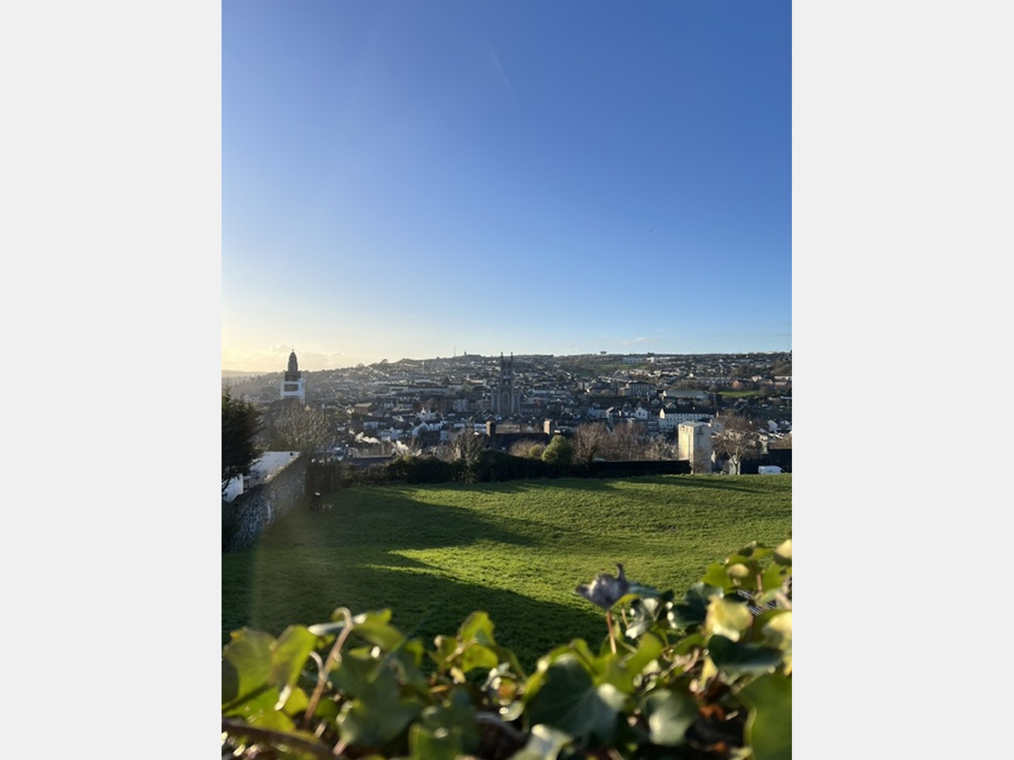 Image from University College Cork