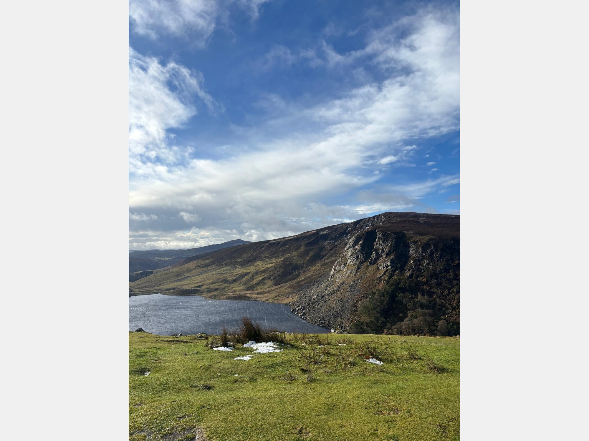 Image from University College Dublin