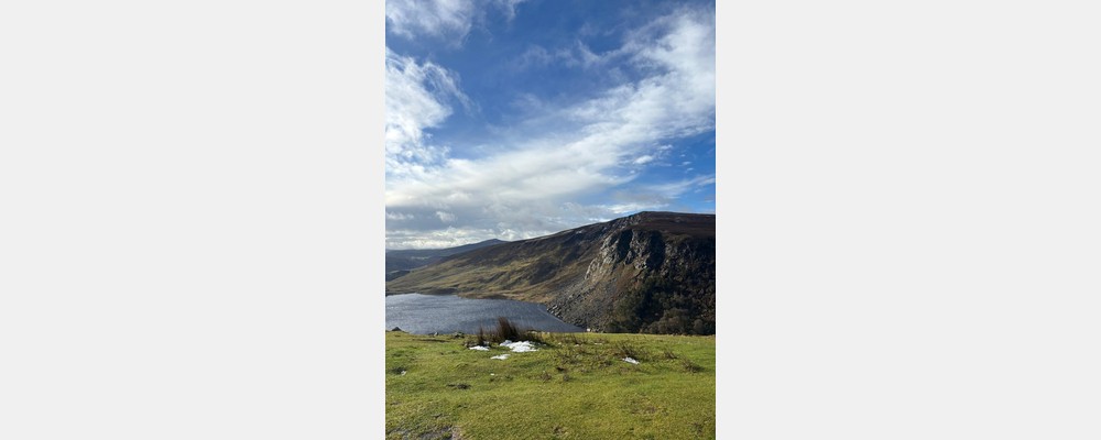 Image from University College Dublin