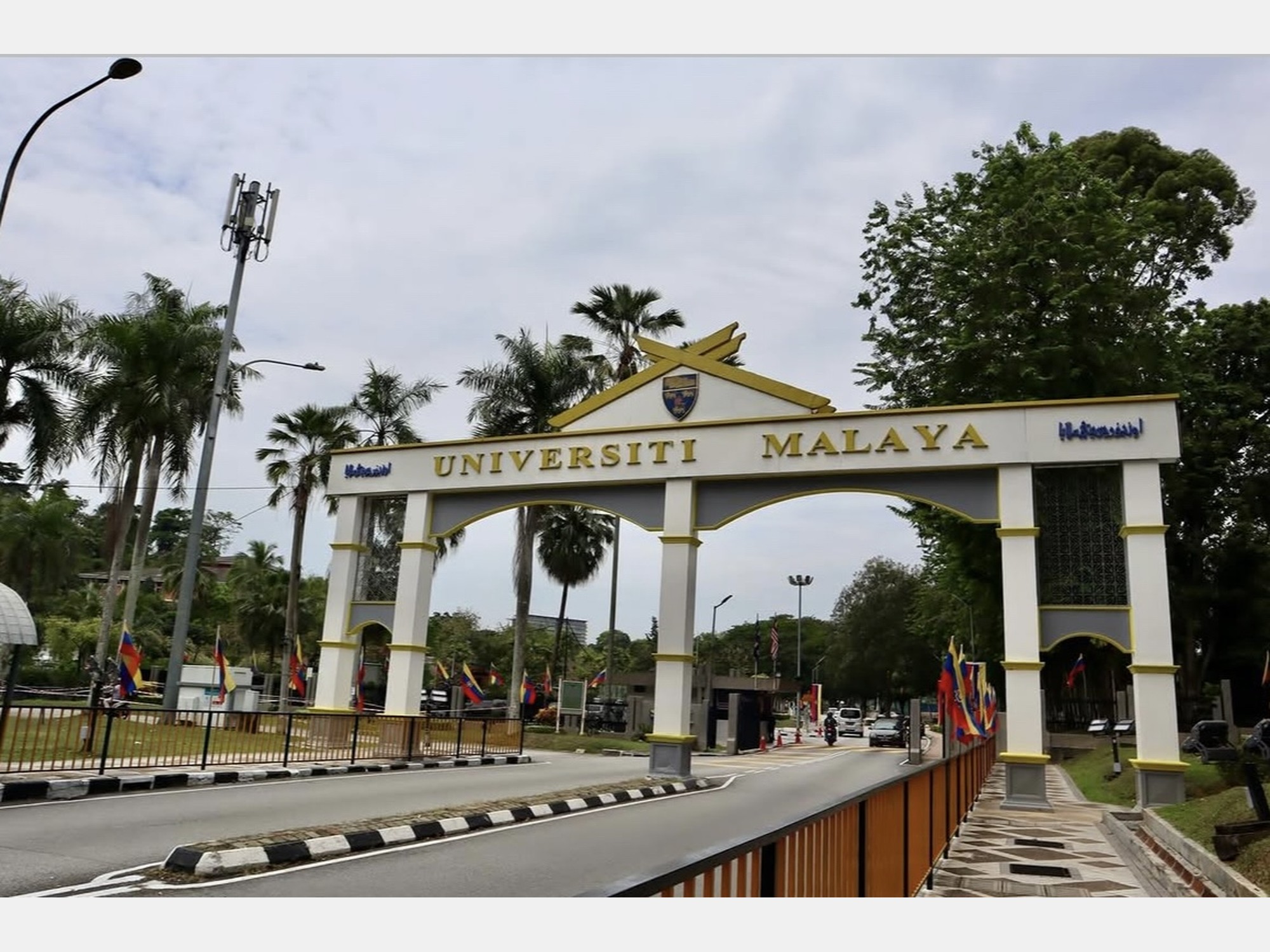 Image from University of Malaya