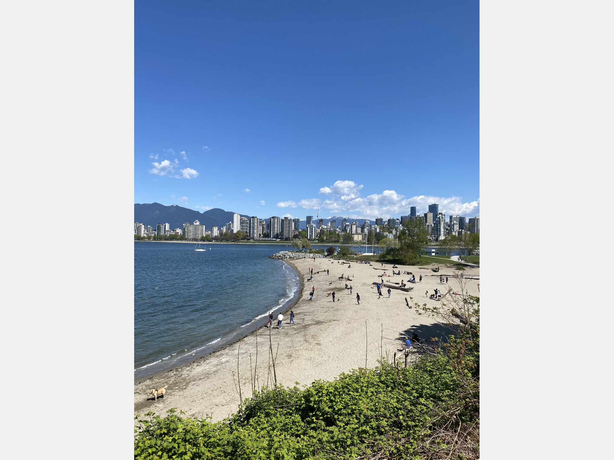 Image from The University of British Columbia