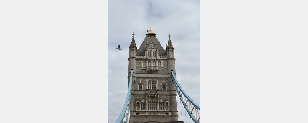 Image from City St George's, University of London