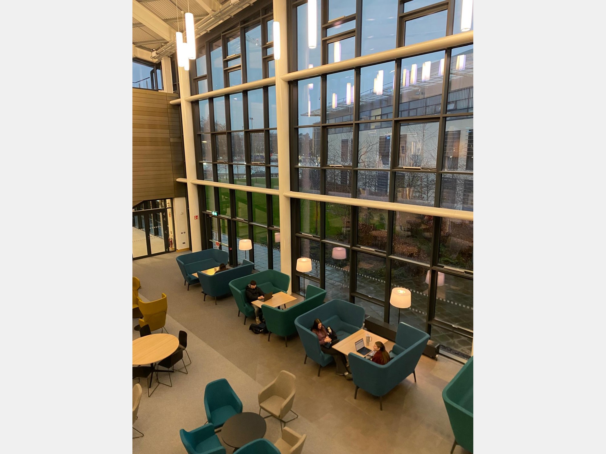 Image from University College Dublin