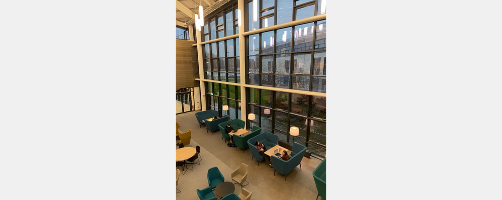 Image from University College Dublin
