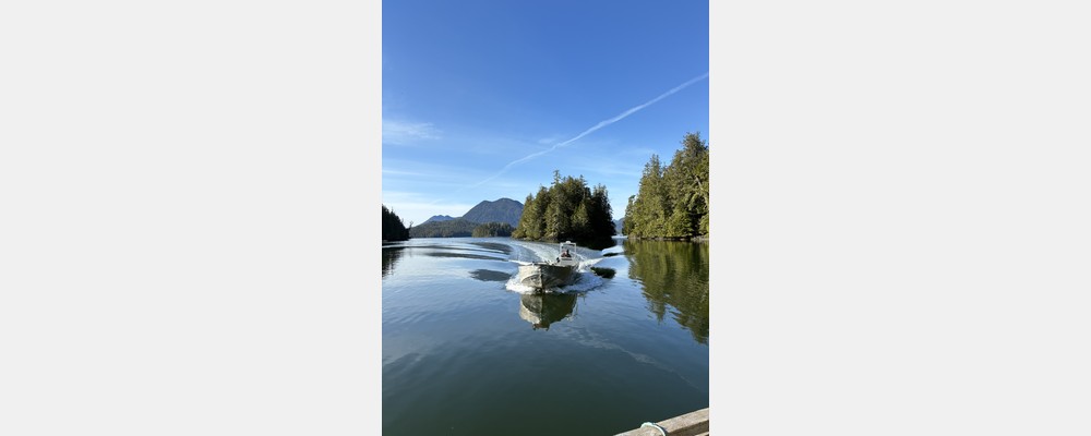 Image from The University of British Columbia