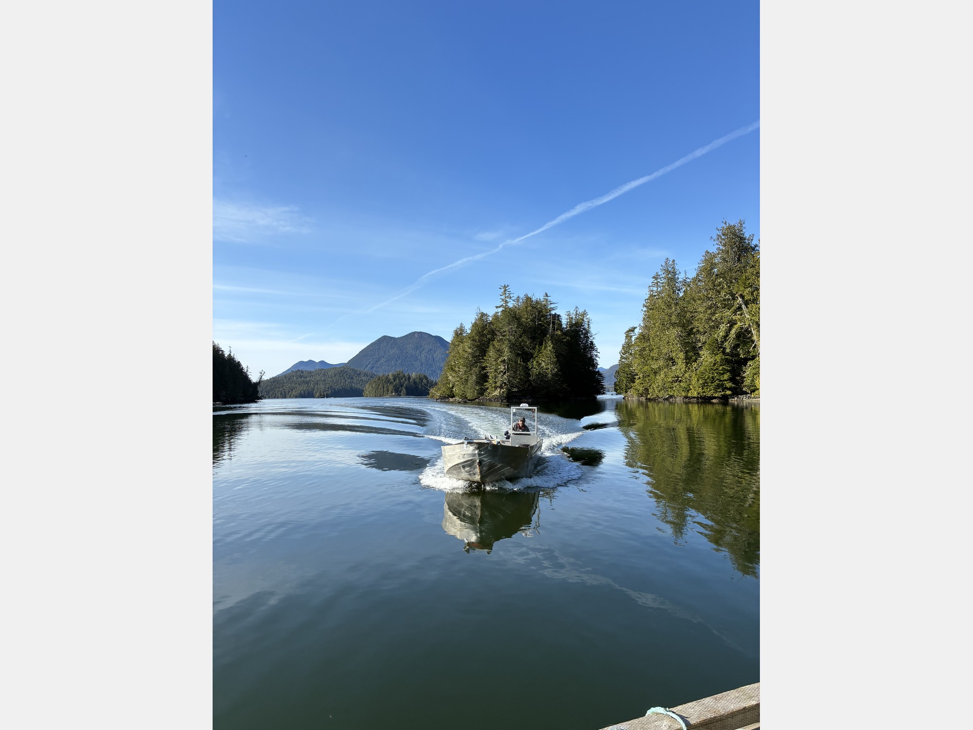 Image from The University of British Columbia