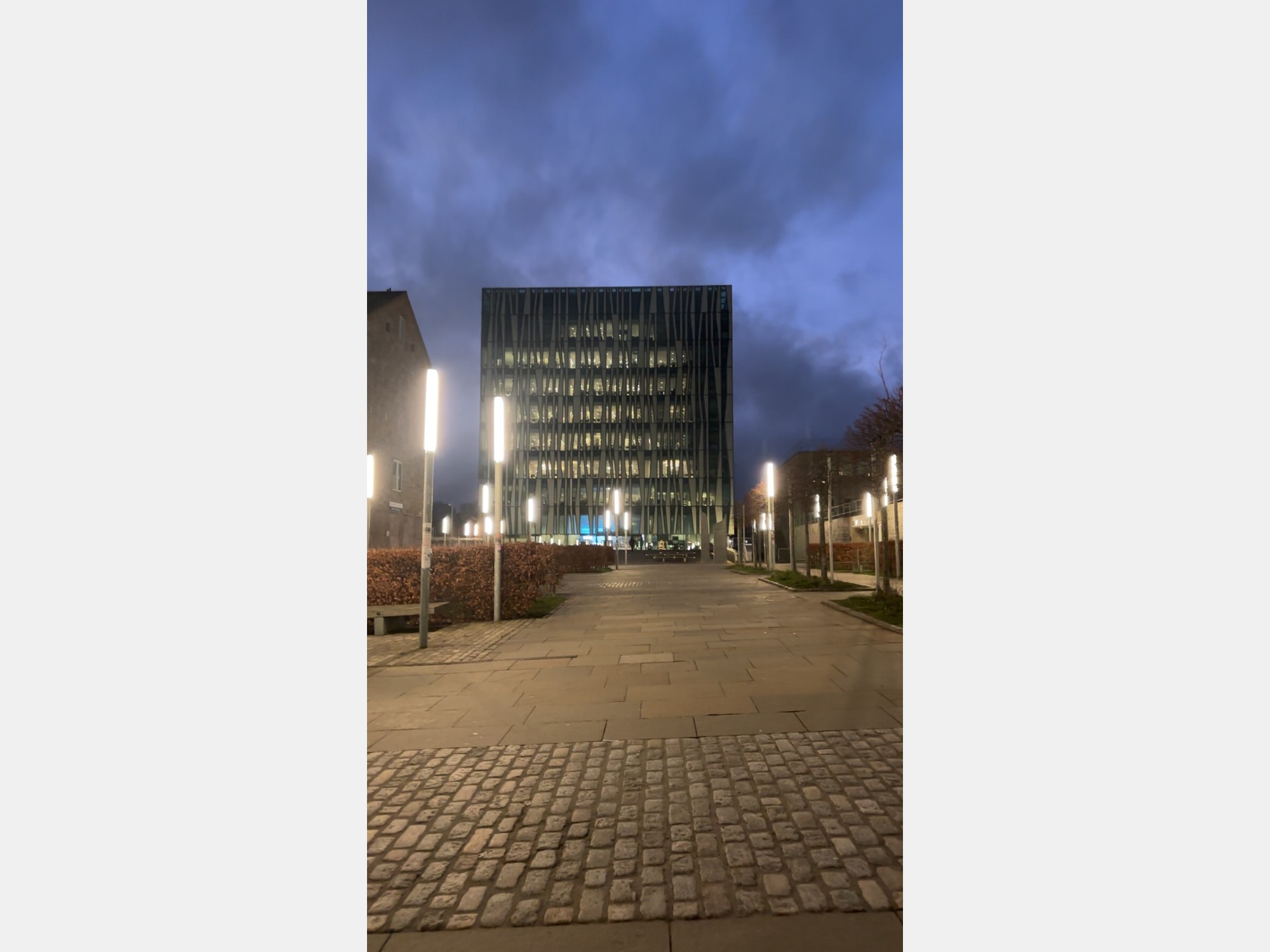 Image from University of Aberdeen