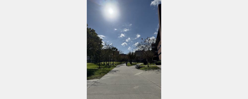 Image from University of Central Florida