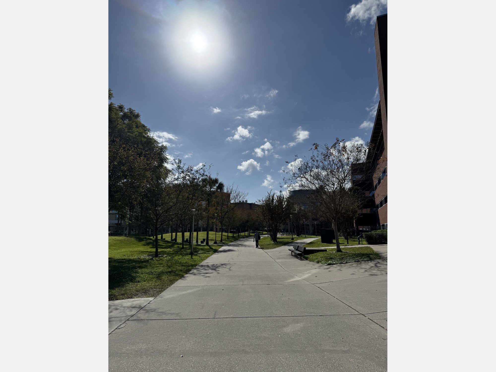 Image from University of Central Florida