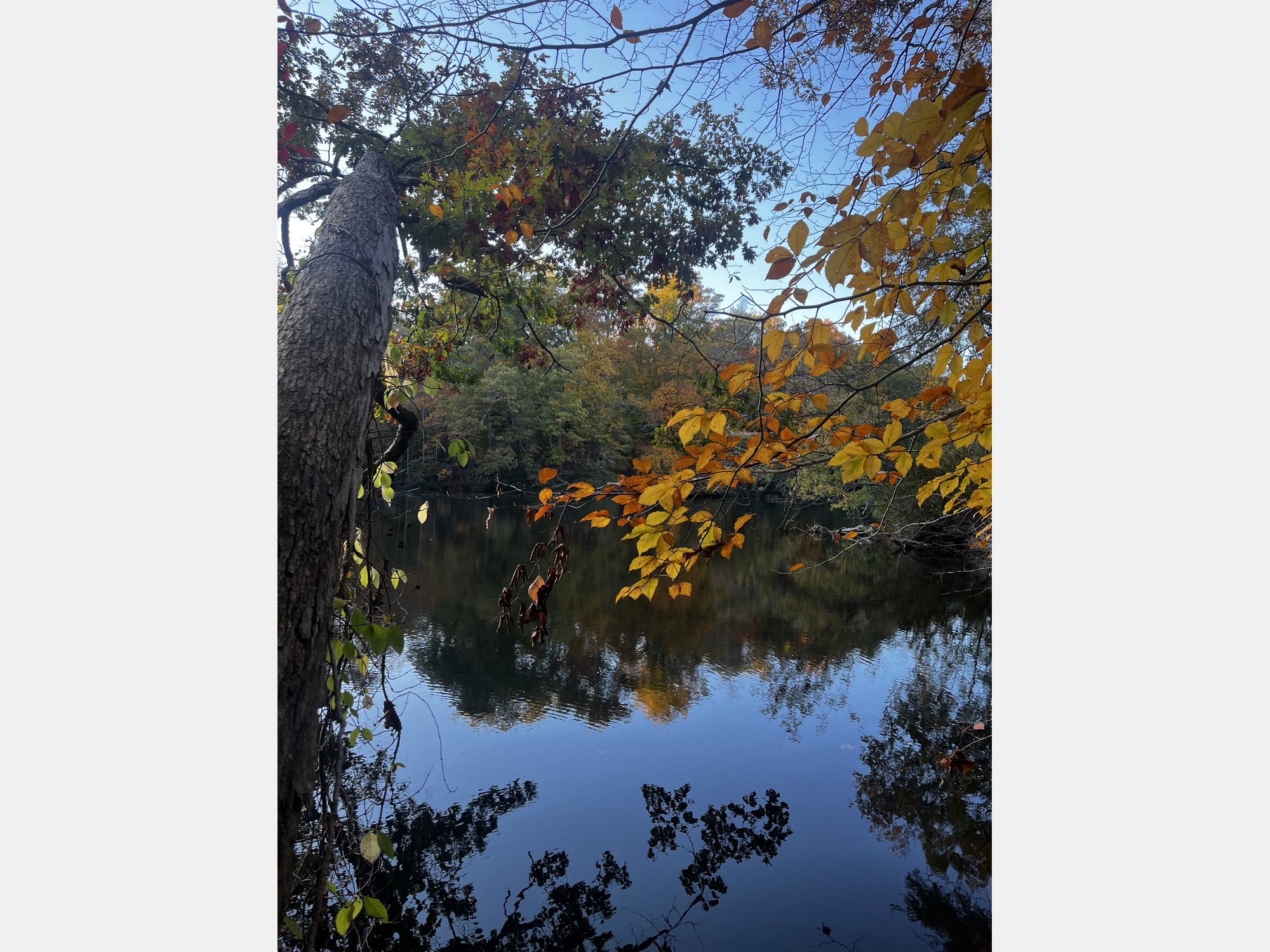 Image from The College of William & Mary