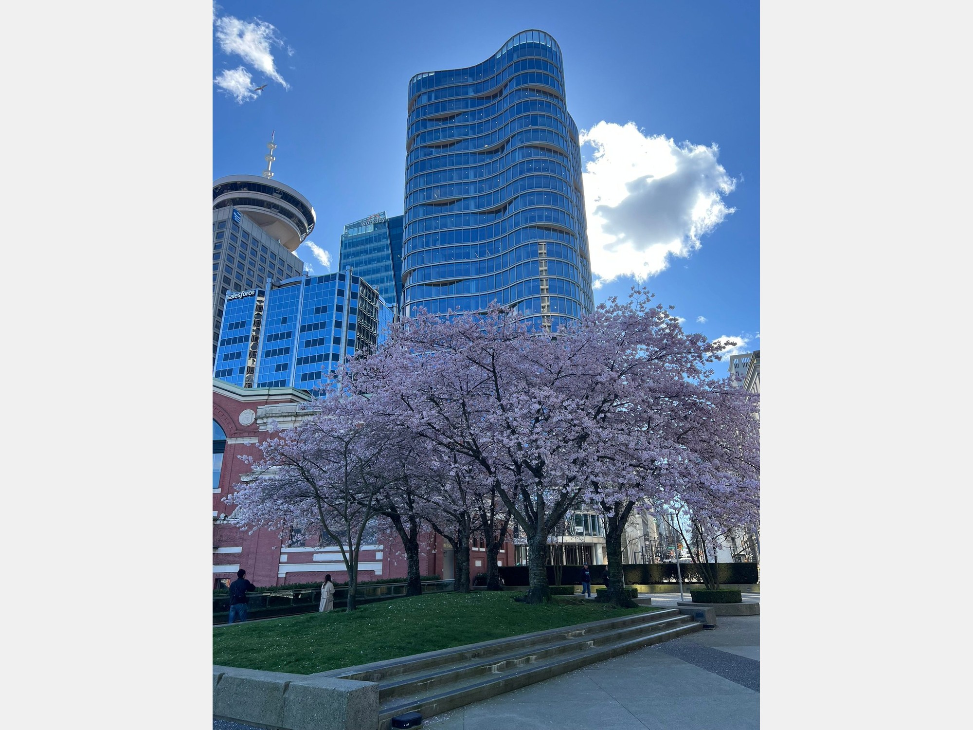 Image from Simon Fraser University