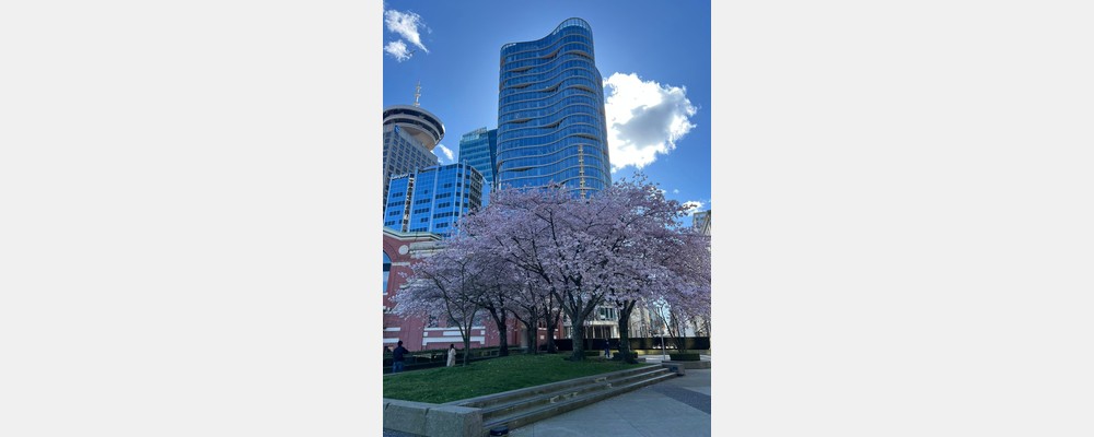 Image from Simon Fraser University