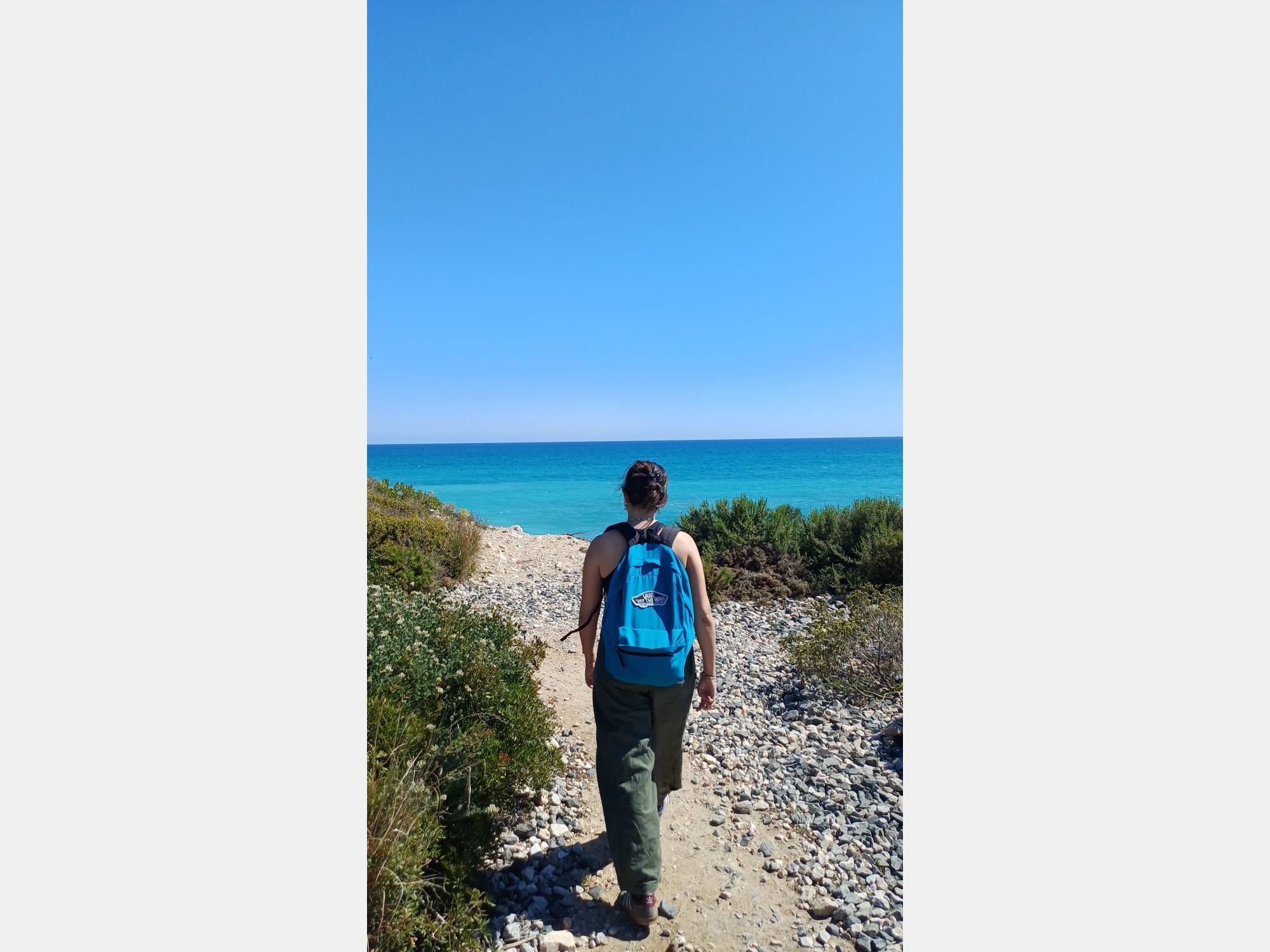 Image from Ramon Llull University