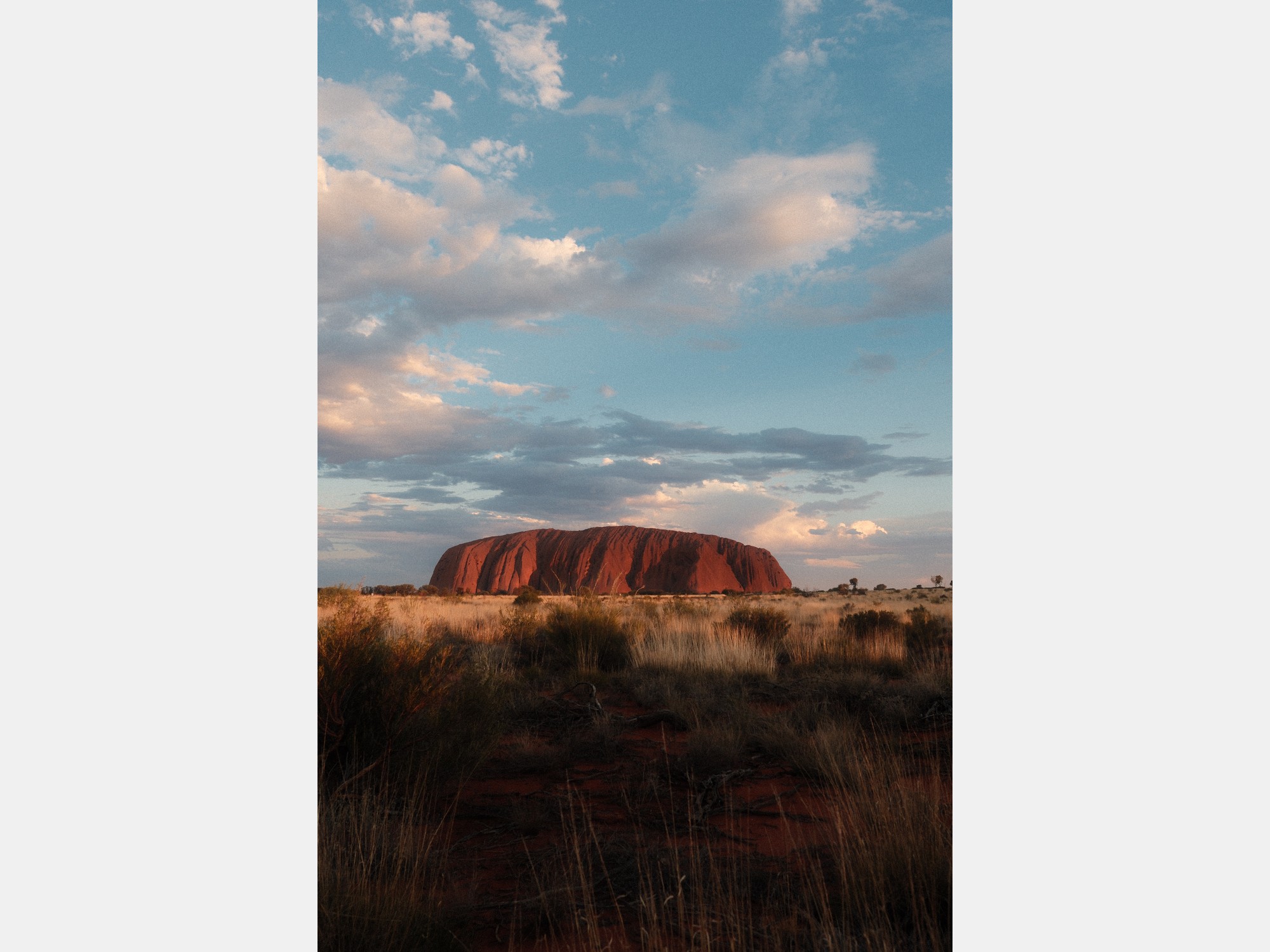 Image from The University of Western Australia