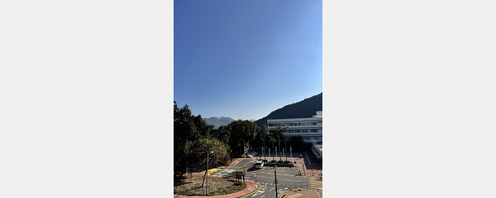Image from The Chinese University of Hong Kong