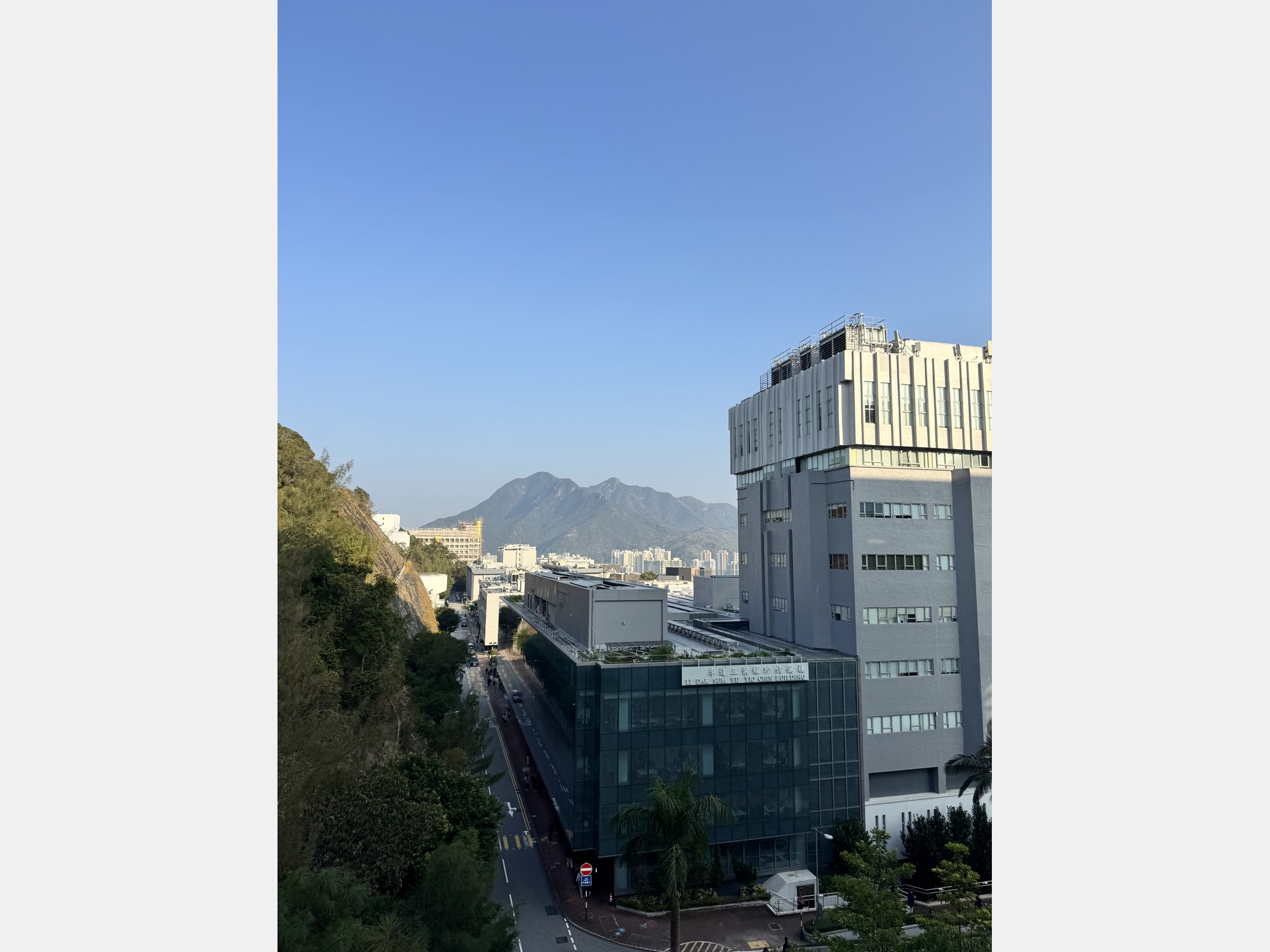 Image from The Chinese University of Hong Kong