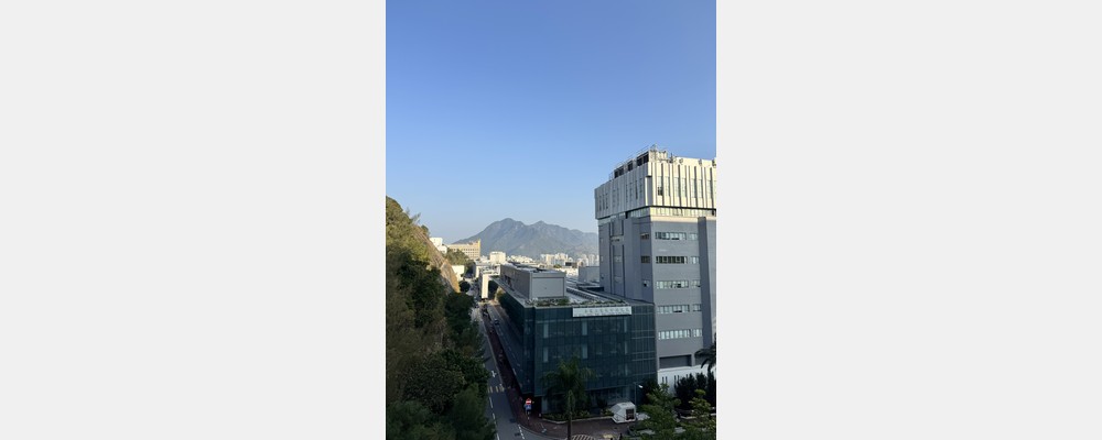 Image from The Chinese University of Hong Kong