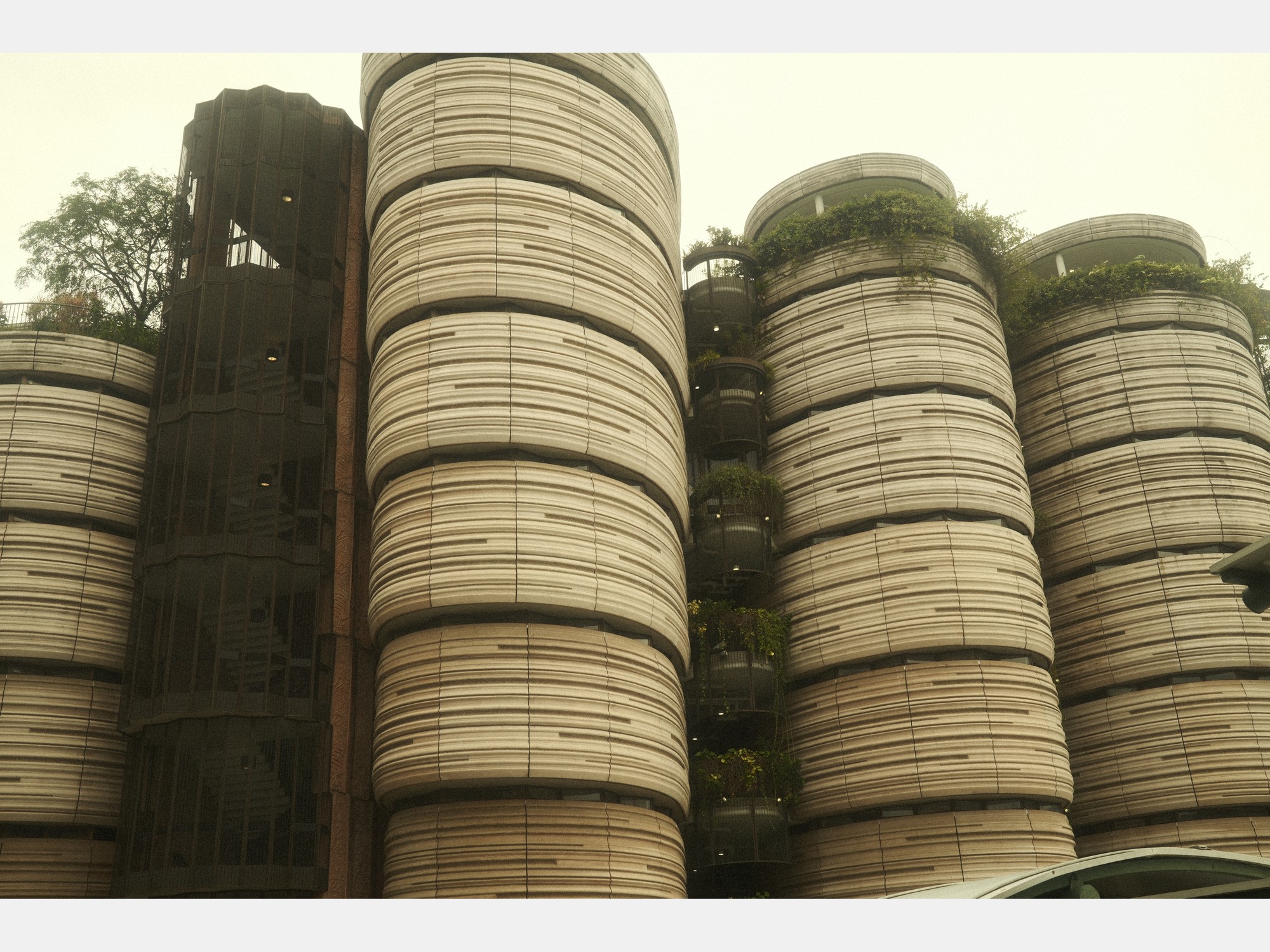 Image from Nanyang Technological University