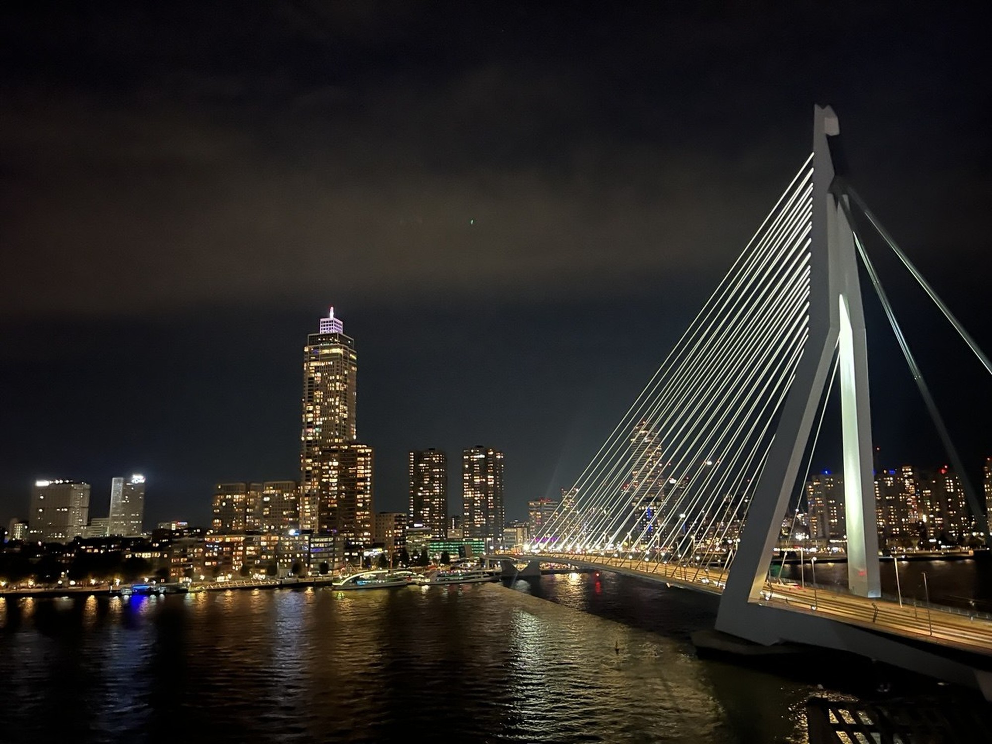 Image from Erasmus University Rotterdam