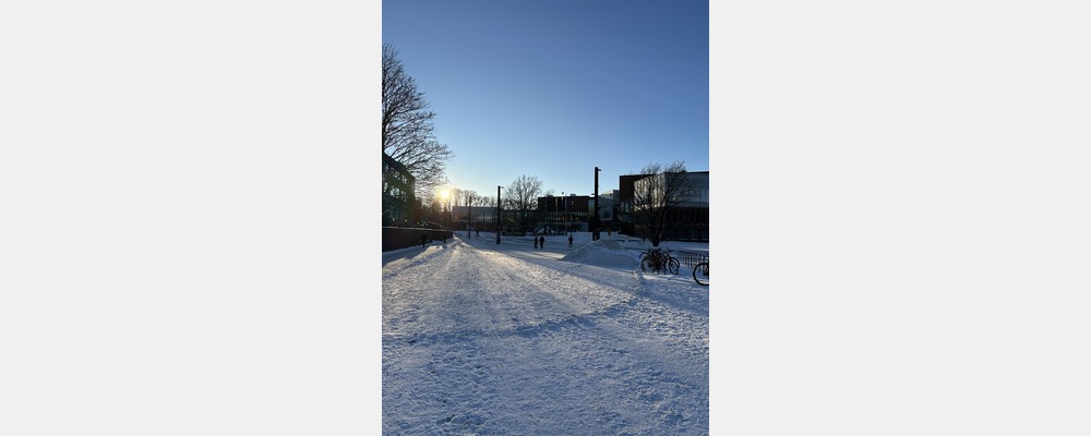 Image from Aalto University