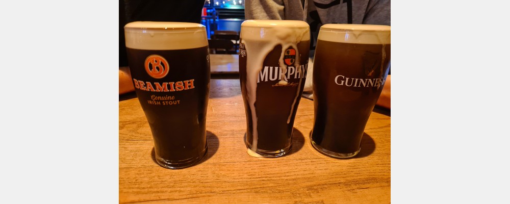 Image from University College Cork