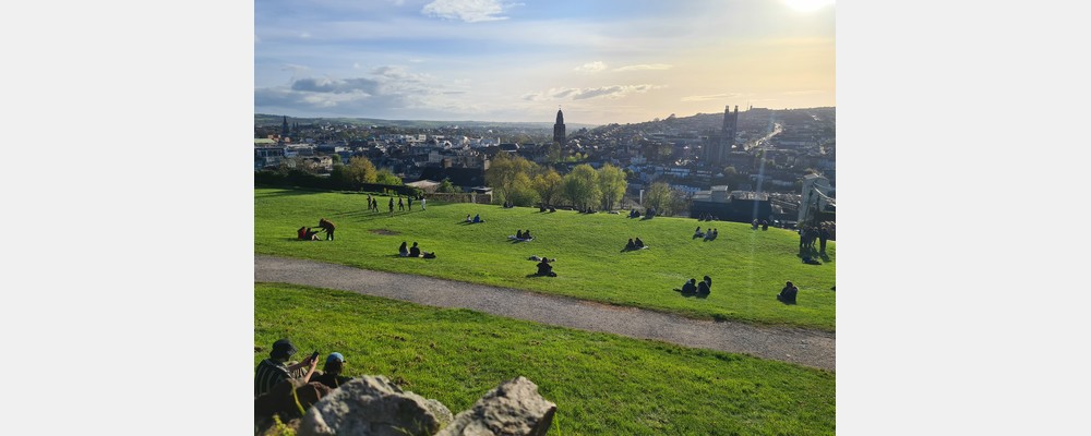 Image from University College Cork