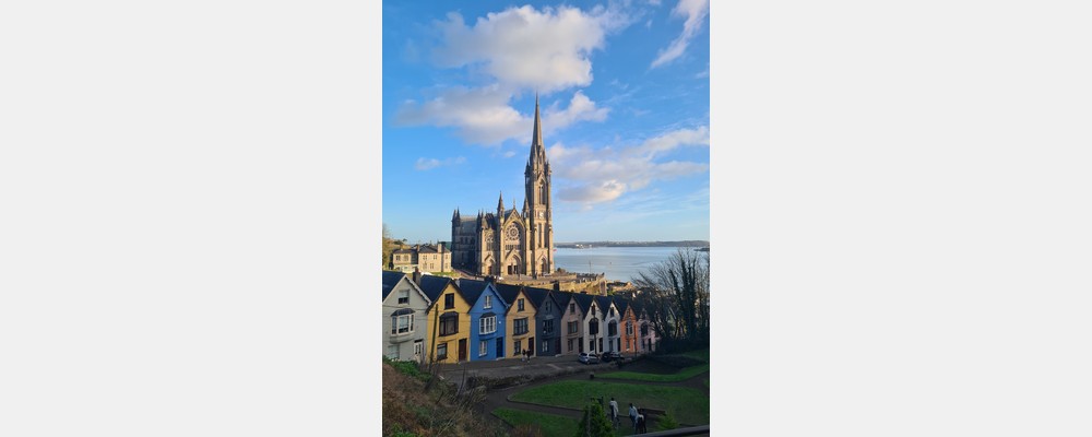 Image from University College Cork